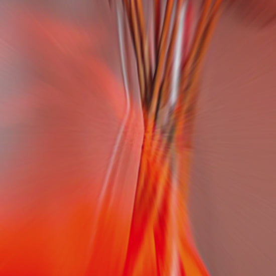 Vidéo démonstration Diffuseur d’huiles essentielles Effet Flamme 7 couleurs bien-être naturel anti stress moment cocooning 